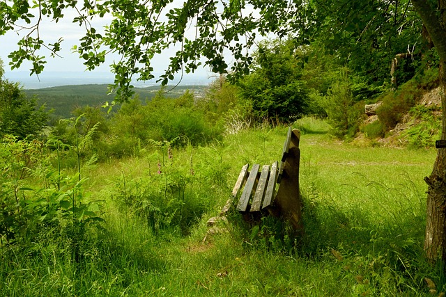 还道出了三 还道出了三