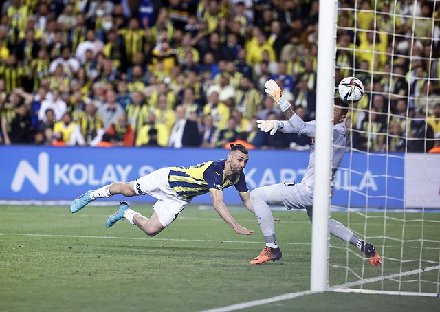 納的潛力和 納的潛力和