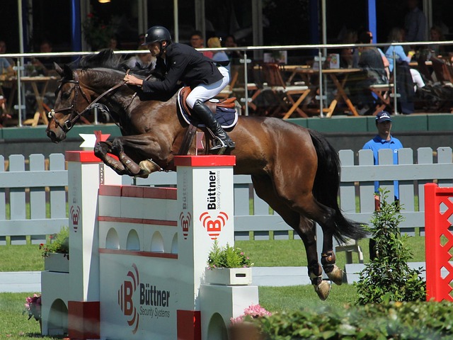 我們可能會 我們可能會