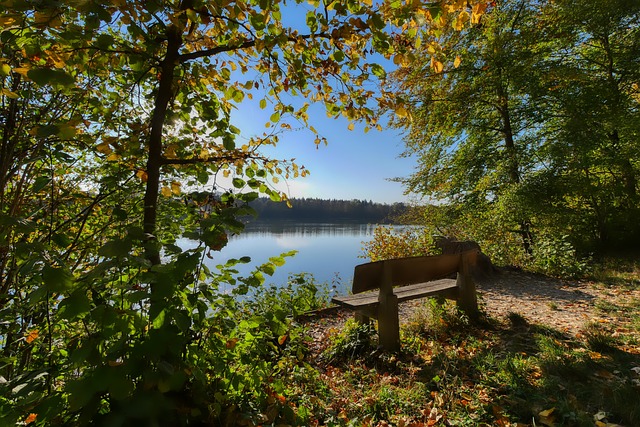 随着越来越 随着越来越