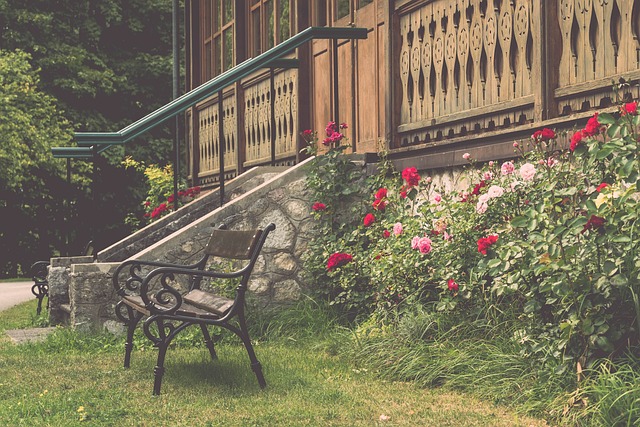 这次缺乏顶 这次缺乏顶