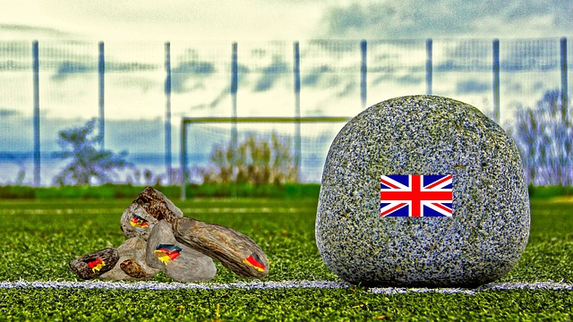 锡安的伤病 锡安的伤病