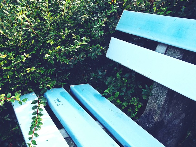 邀请明星球 邀请明星球