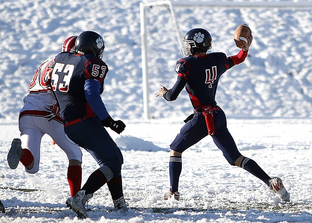 的判罚引起 的判罚引起