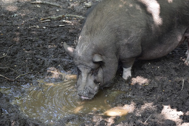 疯狂三月！船勇狼的白热化卡位战！.